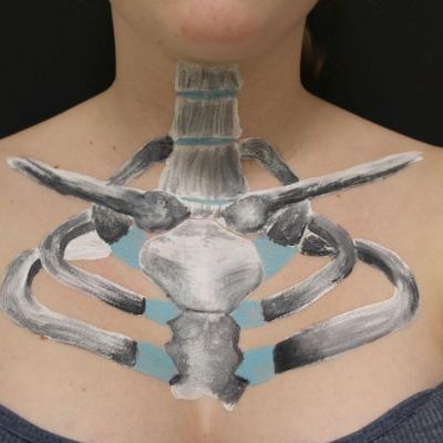 7. Klasse: Bodypainting