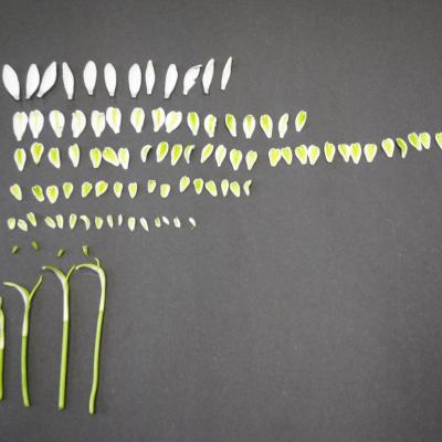 8. Klasse: Die Kunst aufzuräumen