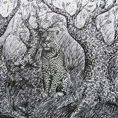 5. Klasse: Strukturübung: Tarnung